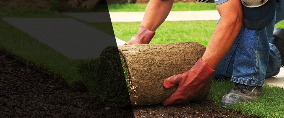 Aspers Landscapers